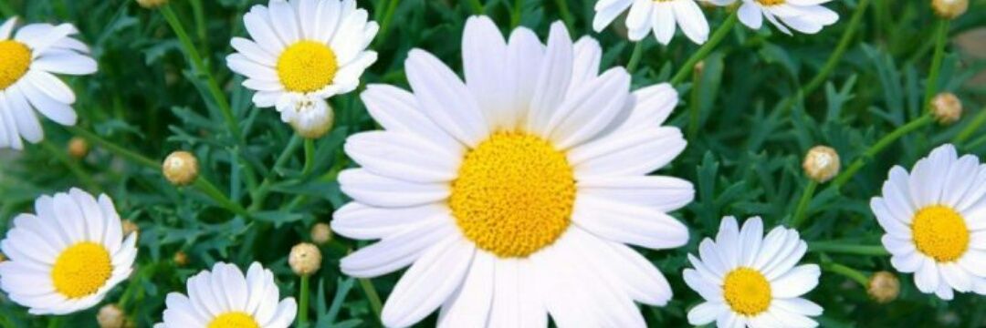 Mayteeeee_26's profile banner image