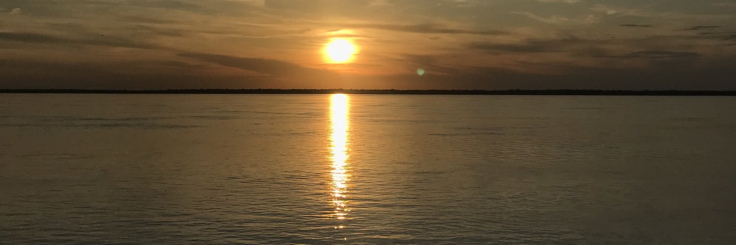 itstalli's profile banner image