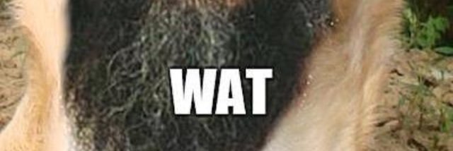 Statue_Ego's profile banner image