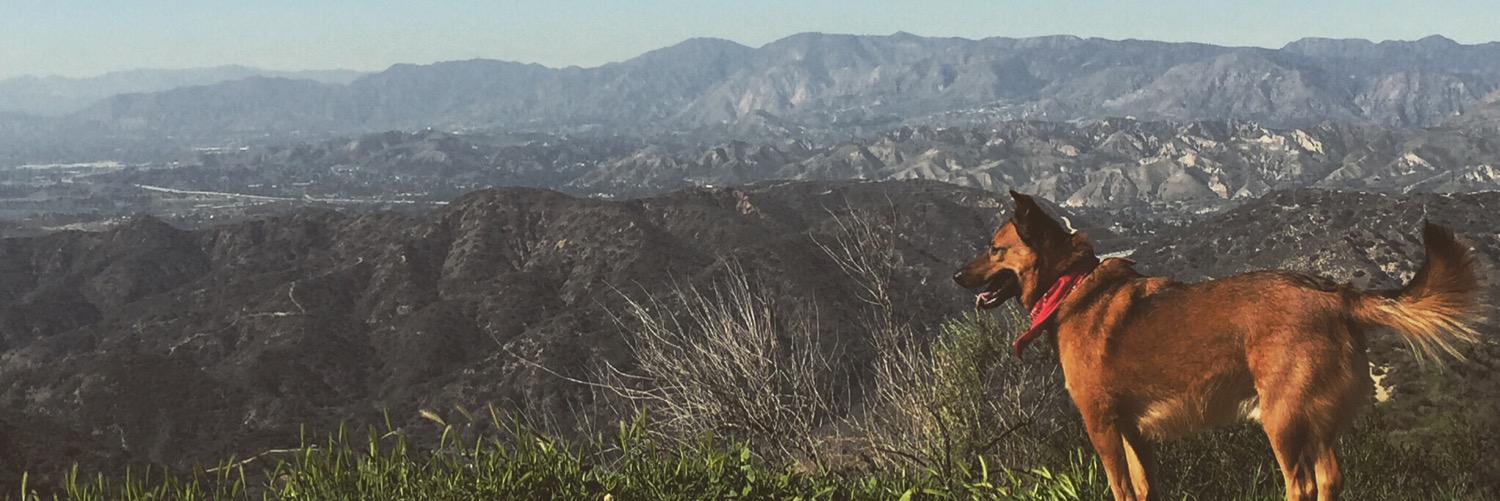 Vickypham52's profile banner image