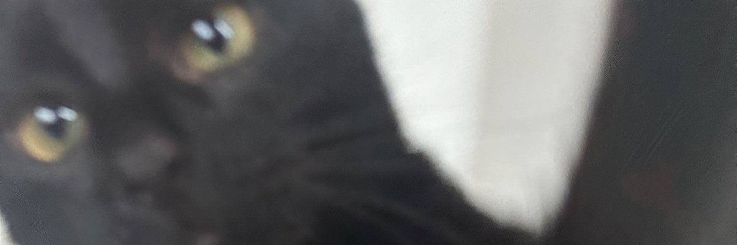 swiatekpol's profile banner image