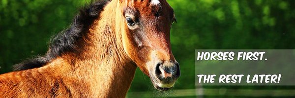 eqclusive Profile Banner