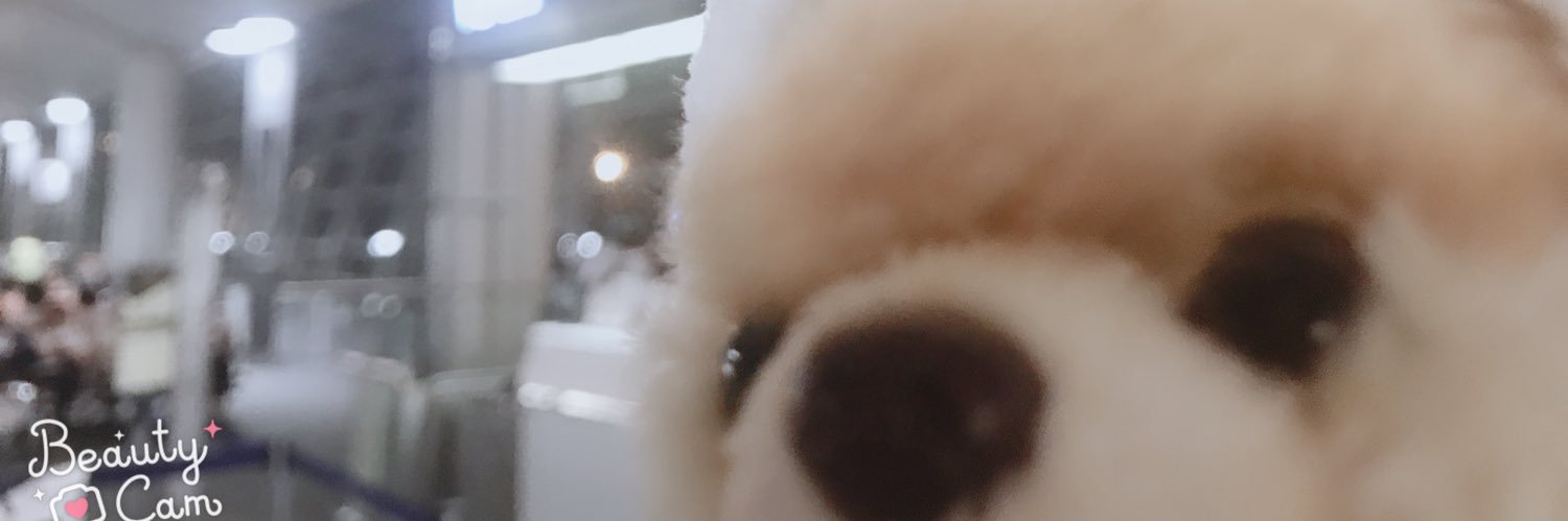 cantarella310's profile banner image