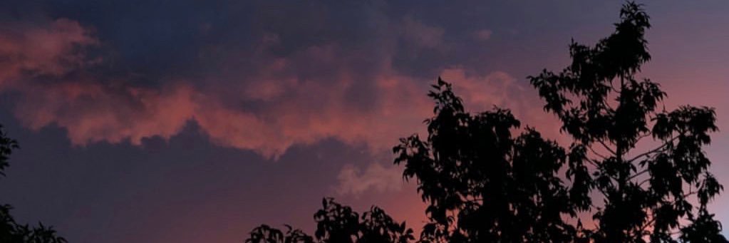 GiovanniCr8's profile banner image
