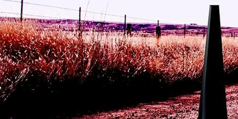 theguff14's profile banner image