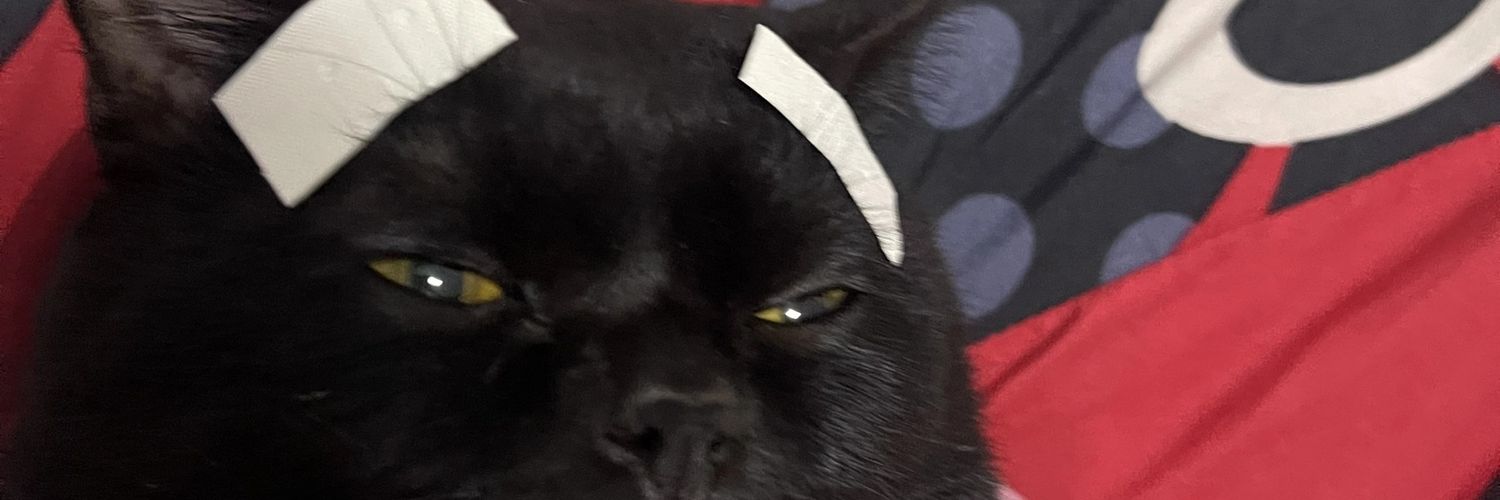 neennss's profile banner image