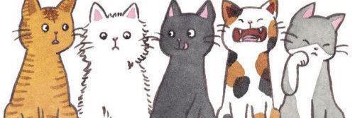 Lyddiefats's profile banner image