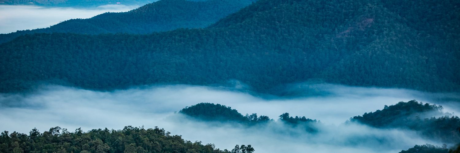 noomdoicm's profile banner image