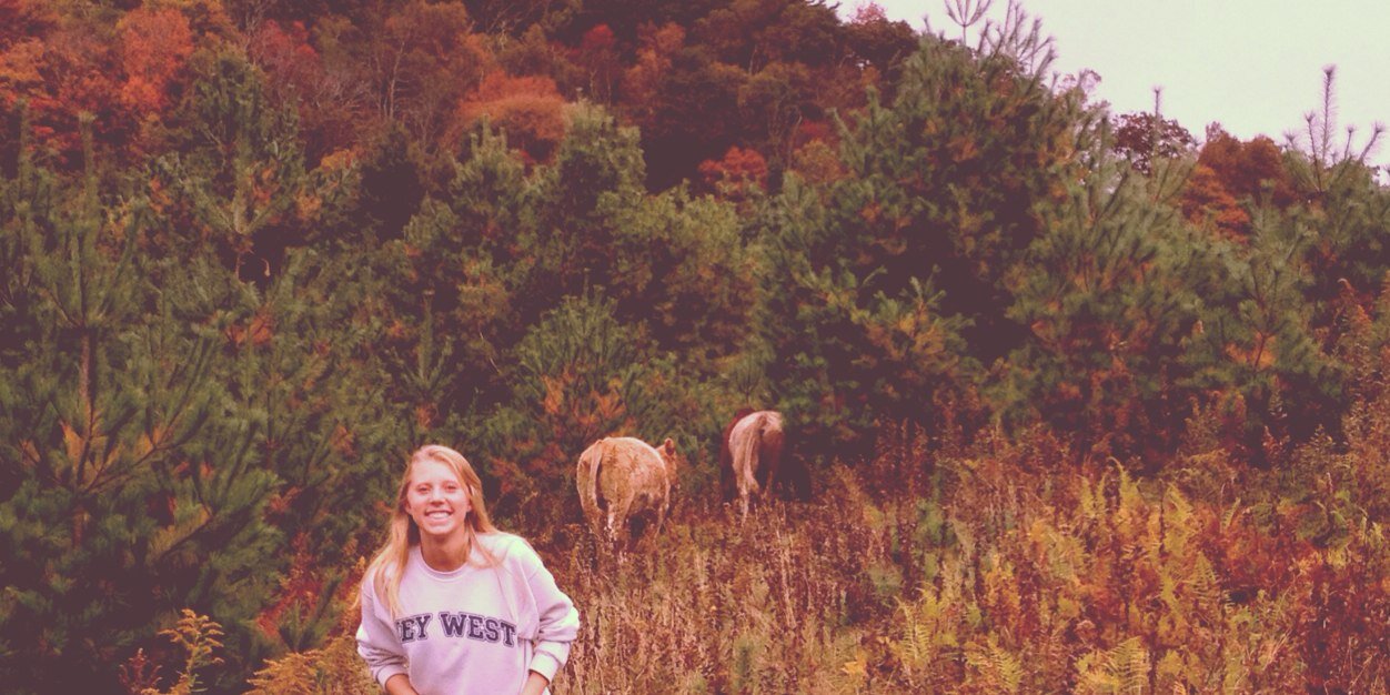 lucydeaton's profile banner image