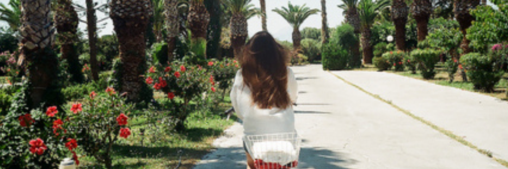ELLESLICE's profile banner image