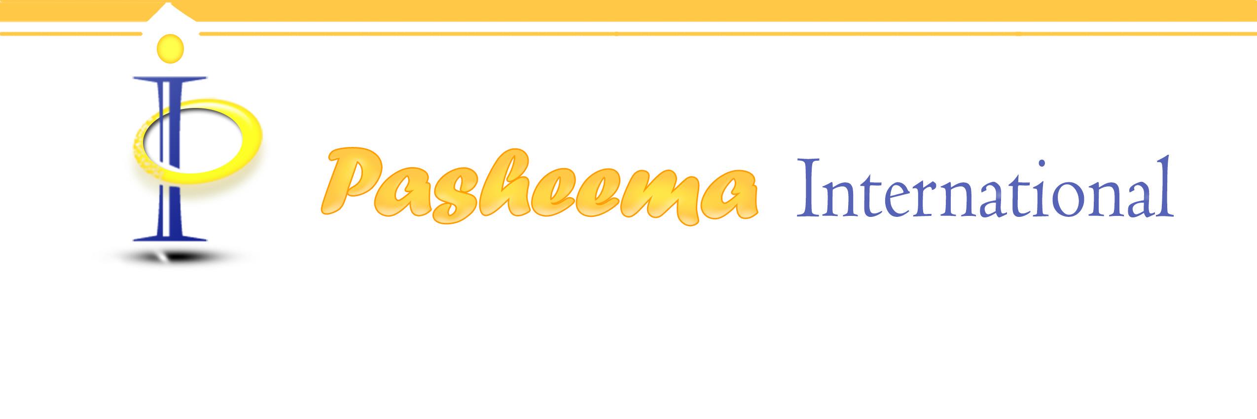pasheemaint's profile banner image