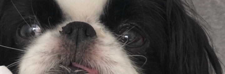 laoganmami's profile banner image