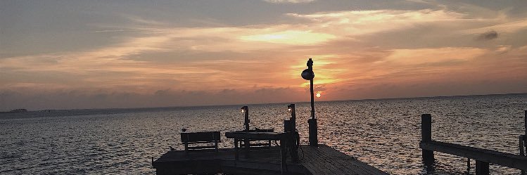 ReneMercadoo's profile banner image