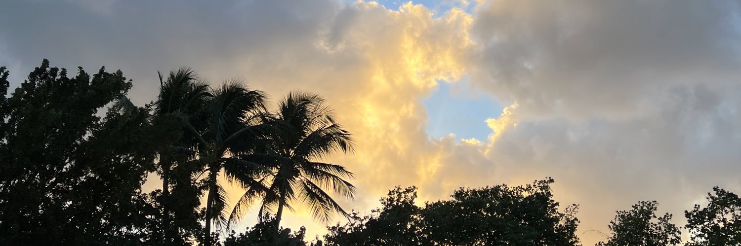 alyssaa70401's profile banner image