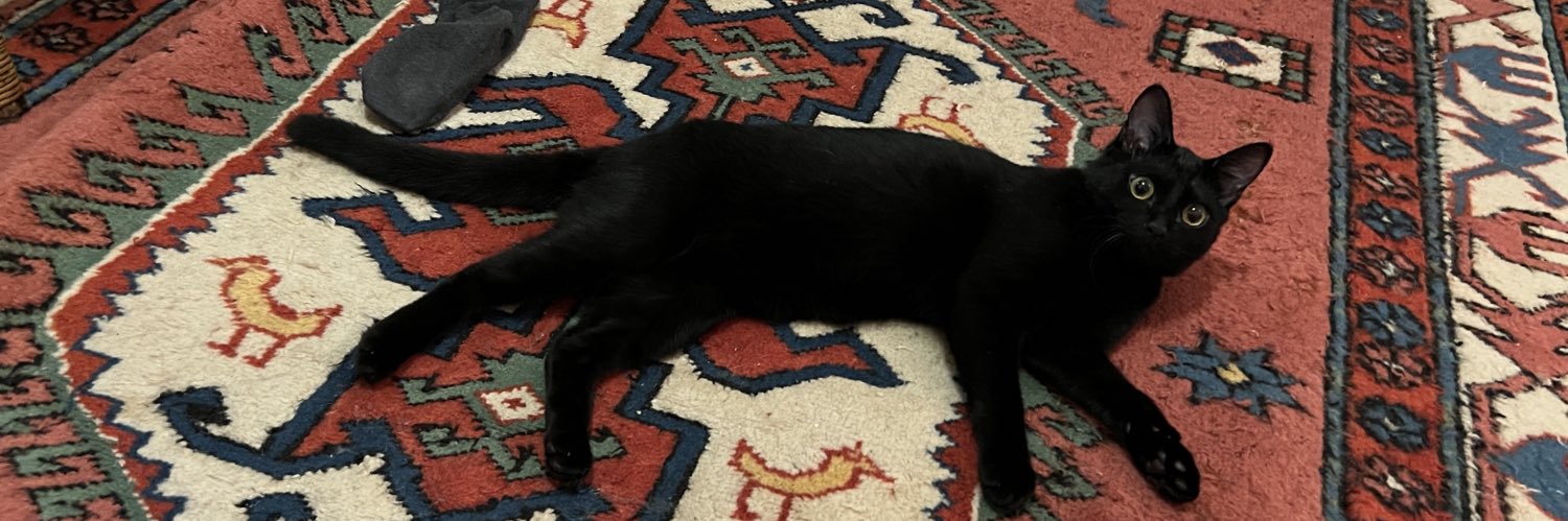 シン・yaDDy🐈🐤ᏟUᏒᏒᎽ banner