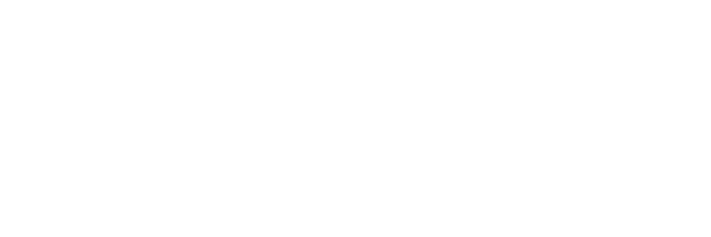 Sprint Store 1809 banner