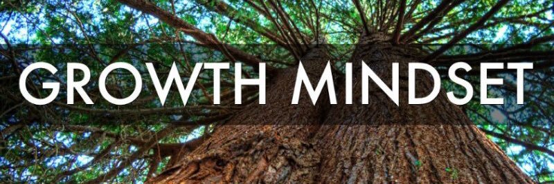 Joanne Fernandes banner