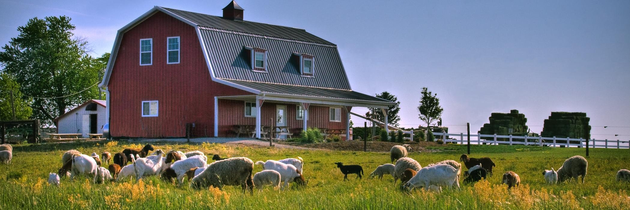 Slagel Family Farm banner