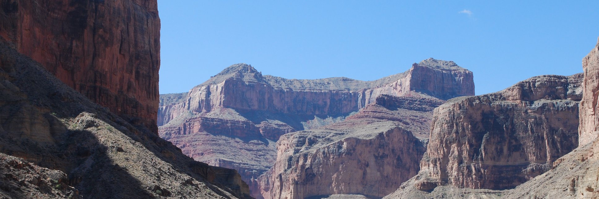 Sandy Campbell,PTPhD banner