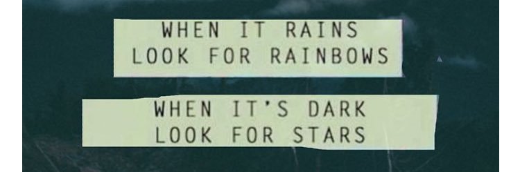 Ms. Del Bianco banner