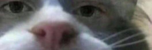 CharonTurpin's profile banner image
