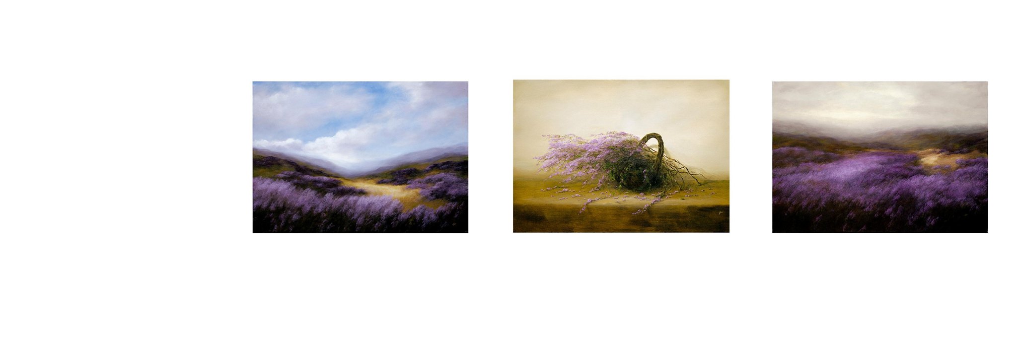 LevinGallery's profile banner image
