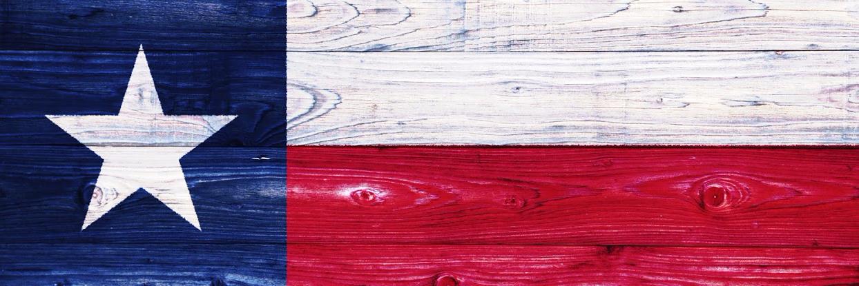 dixie_lentz's profile banner image