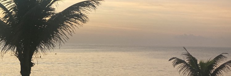 wanessaa_f's profile banner image
