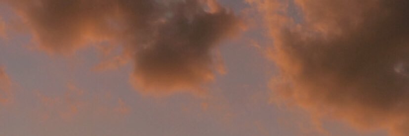 AGUEDA OLMEDO banner