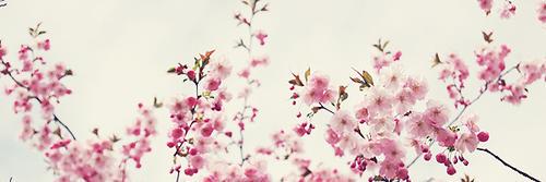 ClaauFuentes4's profile banner image