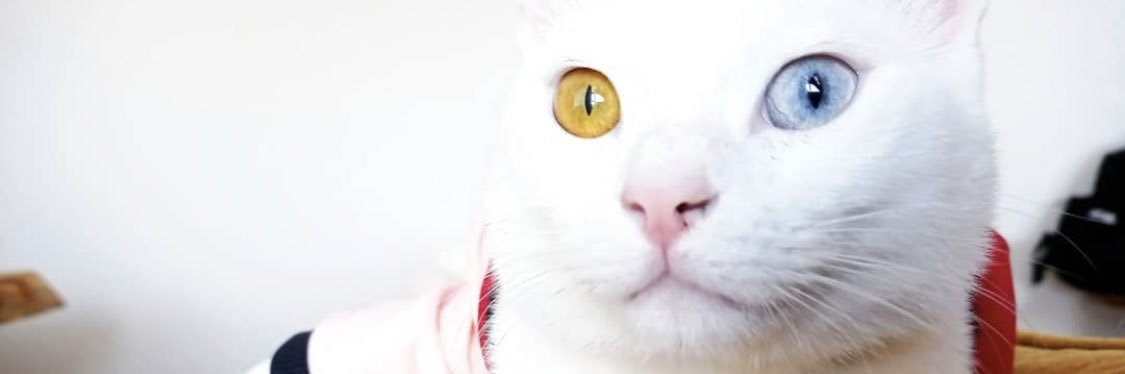 ibrhmyldrn's profile banner image
