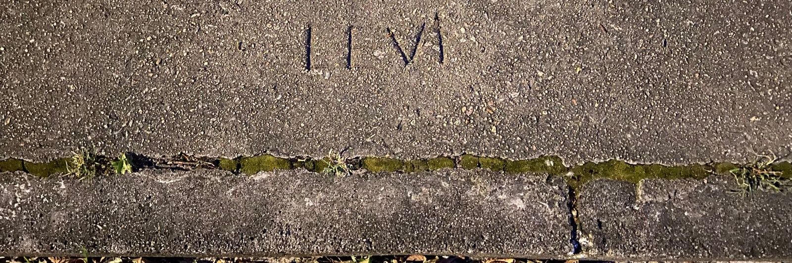 liev____'s profile banner image