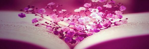 halshw2's profile banner image