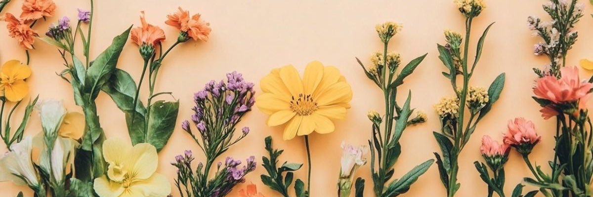 AmazingAngel16's profile banner image