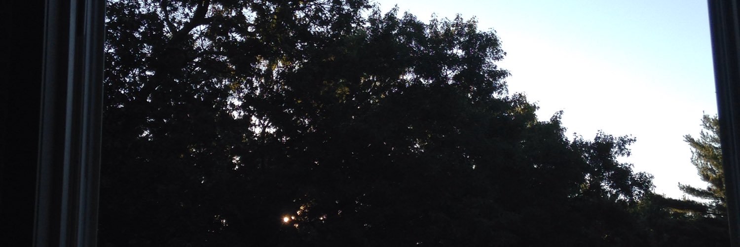 onIined's profile banner image