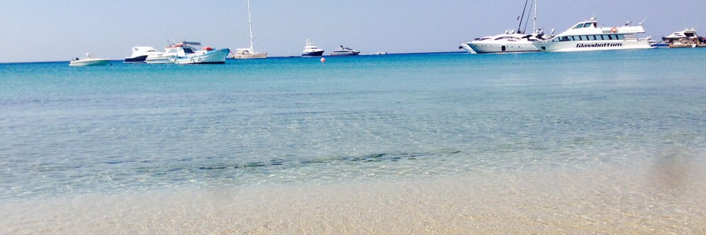 Patricia Blanco banner