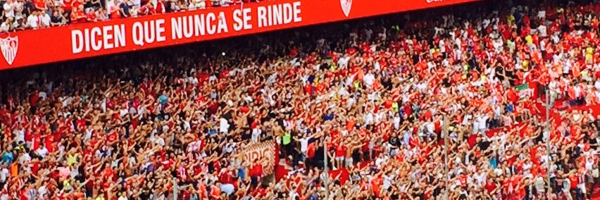 macarenacaro's profile banner image