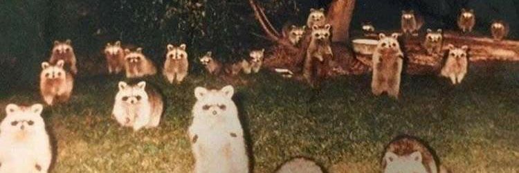 Abstraidaa's profile banner image