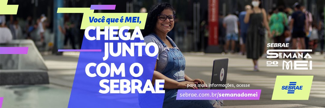 Sebrae Tocantins banner
