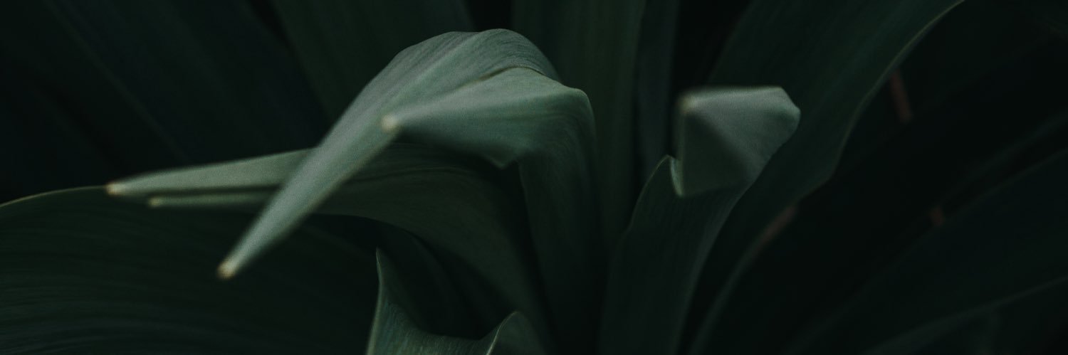 JordanStanford5's profile banner image
