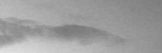 fleurdepeaus's profile banner image