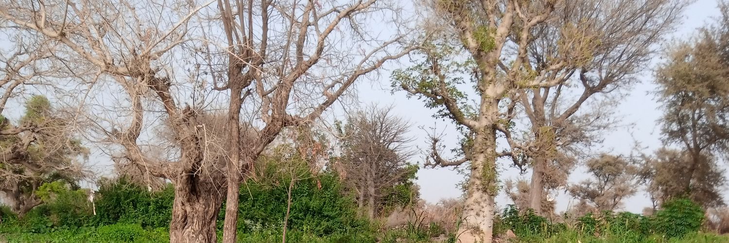 musaaaa57's profile banner image