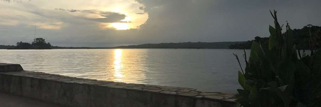 DREVEROLIVIE's profile banner image