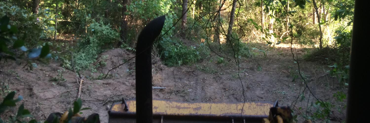 WildLifeGrocery's profile banner image