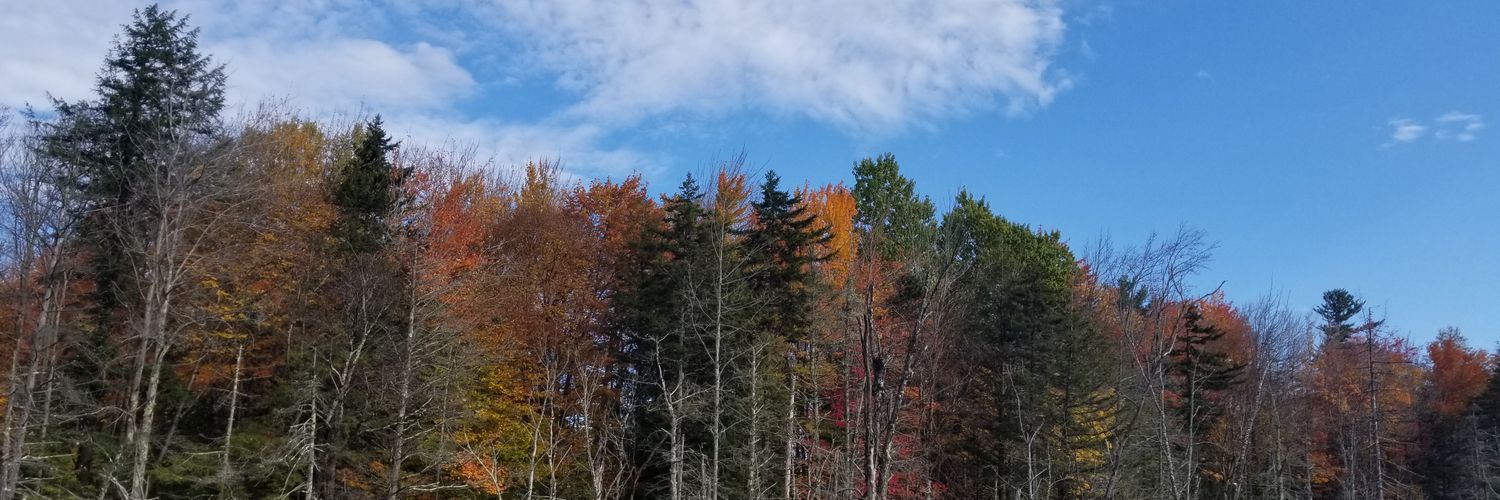 Alexandra Grizas banner