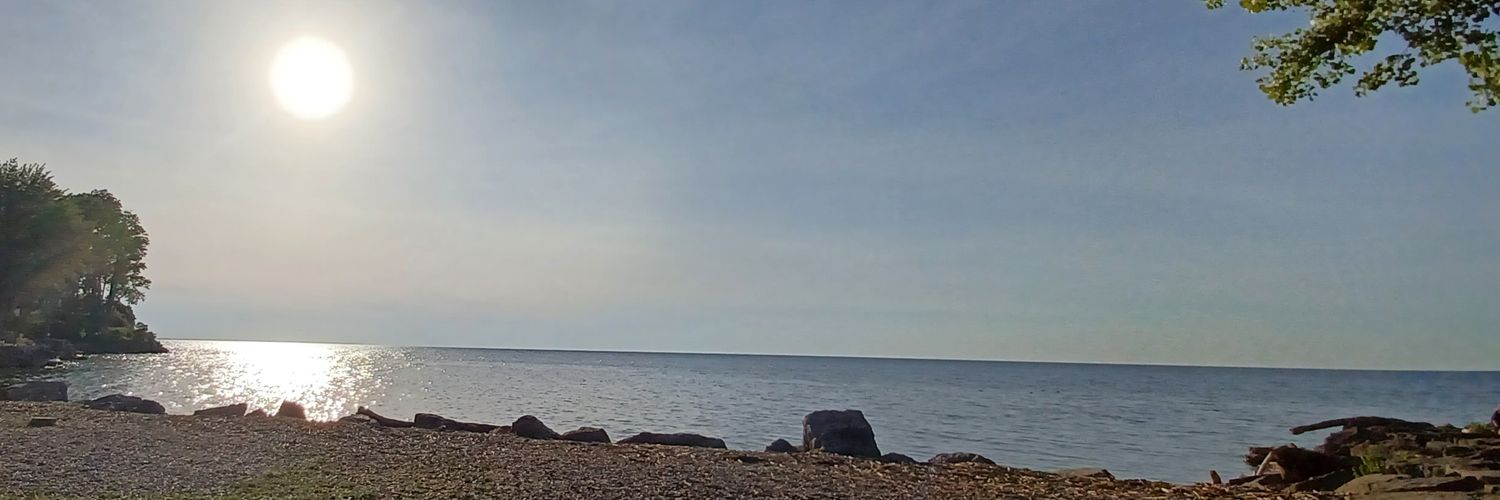 Alexandra Hoff banner