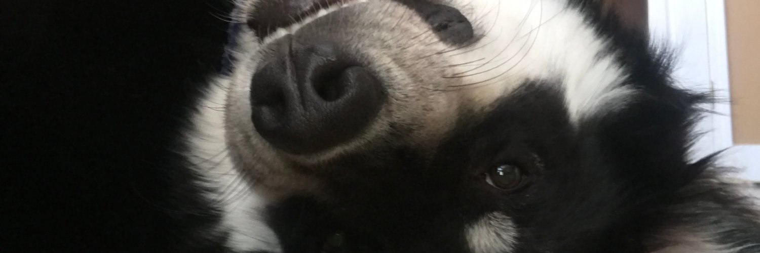 Mads985's profile banner image