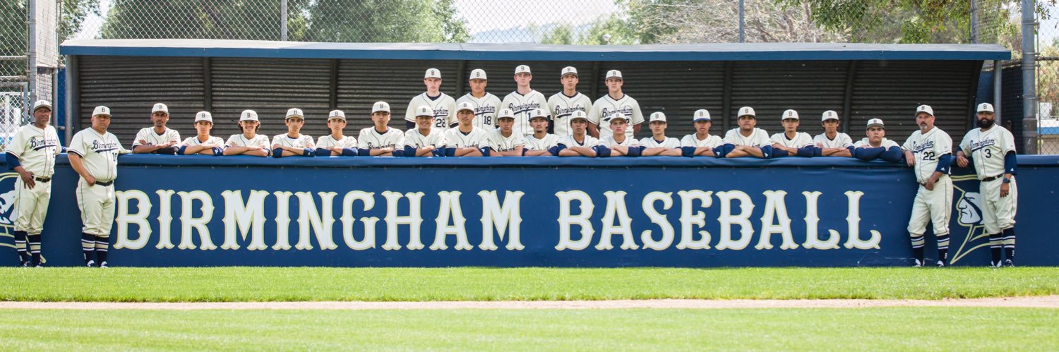 BHAM BASEBALL banner