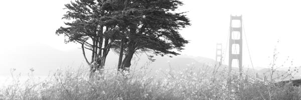 turtlemonvh Profile Banner