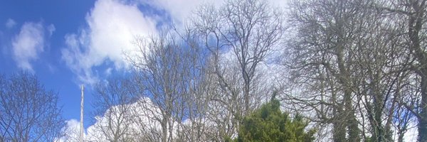 prettydiferent Profile Banner